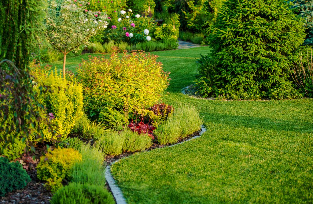 Your Garden Can Add Value To The Sale Price Of Your Home